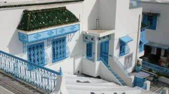 بماذا تتميز تونس