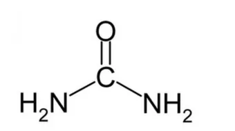 ما هي اليوريا