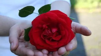 ما هو يوم عيد الحب