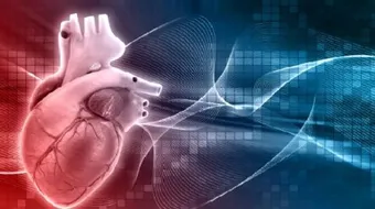 ما هو الرجفان البطيني