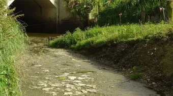 ما هو تلوث الماء