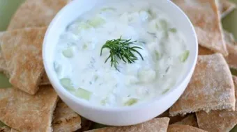 ماهو الزبادي