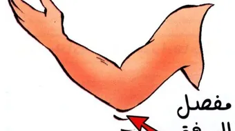 ما نوع مفصل المرفق