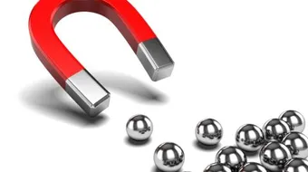 ما هي المواد التي يجذبها المغناطيس