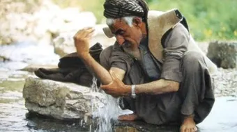 ما الذي يفسد الوضوء