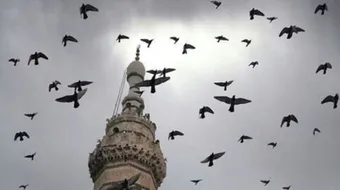 ماذا يفعل المهموم