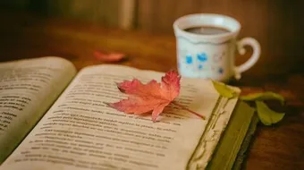 ما قيل عن القراءة