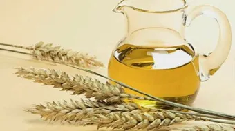 أضرار زيت جنين القمح للصدر