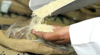 متى يجب إخراج زكاة الفطر