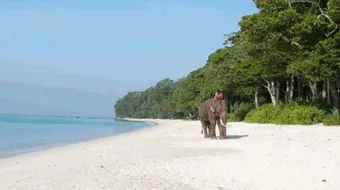 أين تقع جزر نكوبار