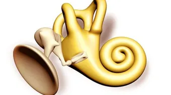 أين توجد عظمة الركاب