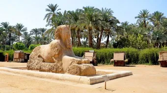 أين توجد حدائق الأهرام