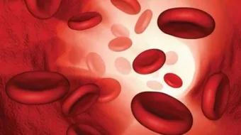 أين تتكون كريات الدم الحمراء