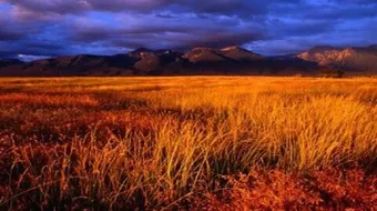 أين نزل آدم عليه السلام وزوجته