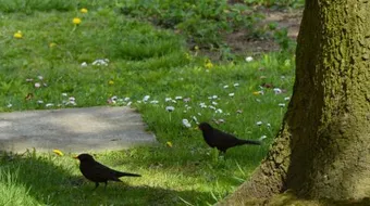 أين نزل سيدنا آدم