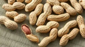 أين ظهر الفول السوداني لأول مرة