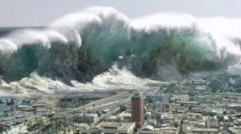 أين حدث تسونامي