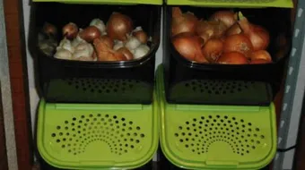 أين أضع البصل في المطبخ