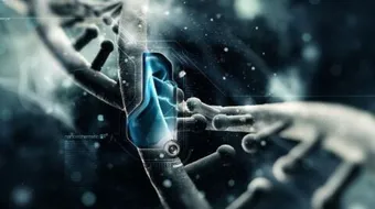 أين يحدث الانقسام الاختزالي