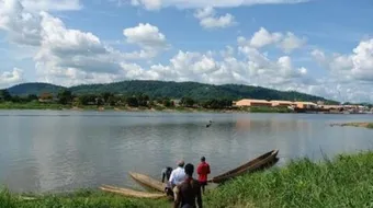 أين يصب نهر النيجر