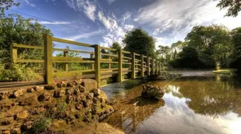 أين تقع عكا