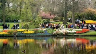 أين تقع مدينة أمستردام