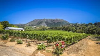 أين تقع كيب تاون