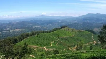 أين تقع كولومبو