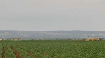 أين تقع دابق