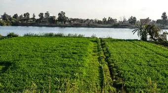 أين تقع دمياط