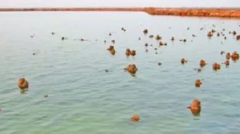 أين تقع بحيرة ساوة