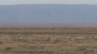 أين يقع جبل سنجار