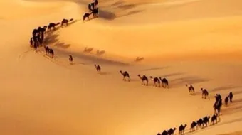 أين تقع نجد