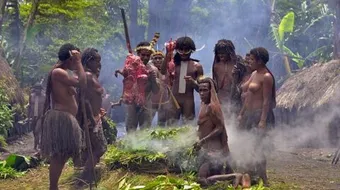 أين تقع غينيا الجديدة