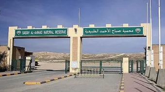 أين تقع محمية صباح الأحمد