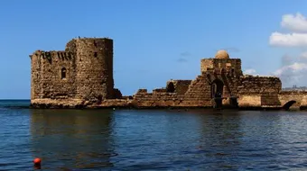 أين تقع صيدا