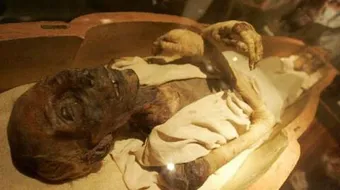 أين جثة فرعون