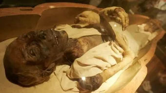 أين توجد جثة فرعون