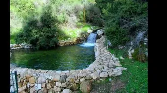 أين تقع مدينة صفد