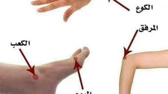 أين يقع الكوع والبوع