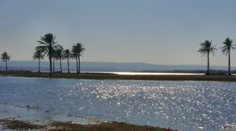 أين يوجد نهر الفرات