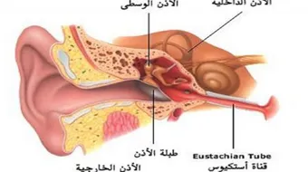 أين تقع قناة استاكيوس