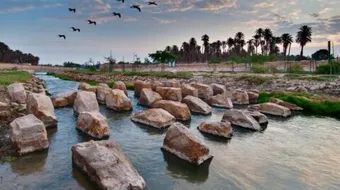 أين يقع وادي حنيفة