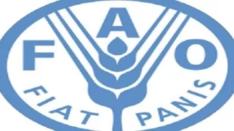 أين يقع مقر منظمة الفاو