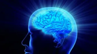 أين يقع عقل الإنسان