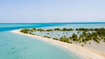 أين تقع جزيرة فرسان