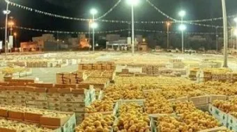 أين يقع أكبر سوق للتمور