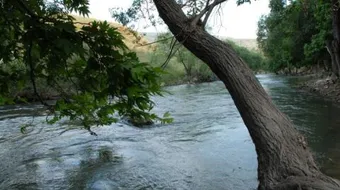 أين يقع نهر الليطاني