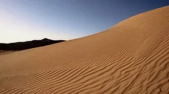 أين تقع صحراء النقب