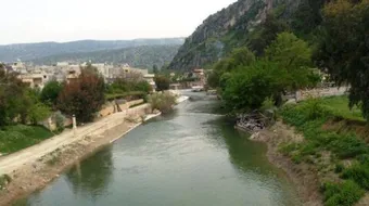 أين يقع نهر العاصي